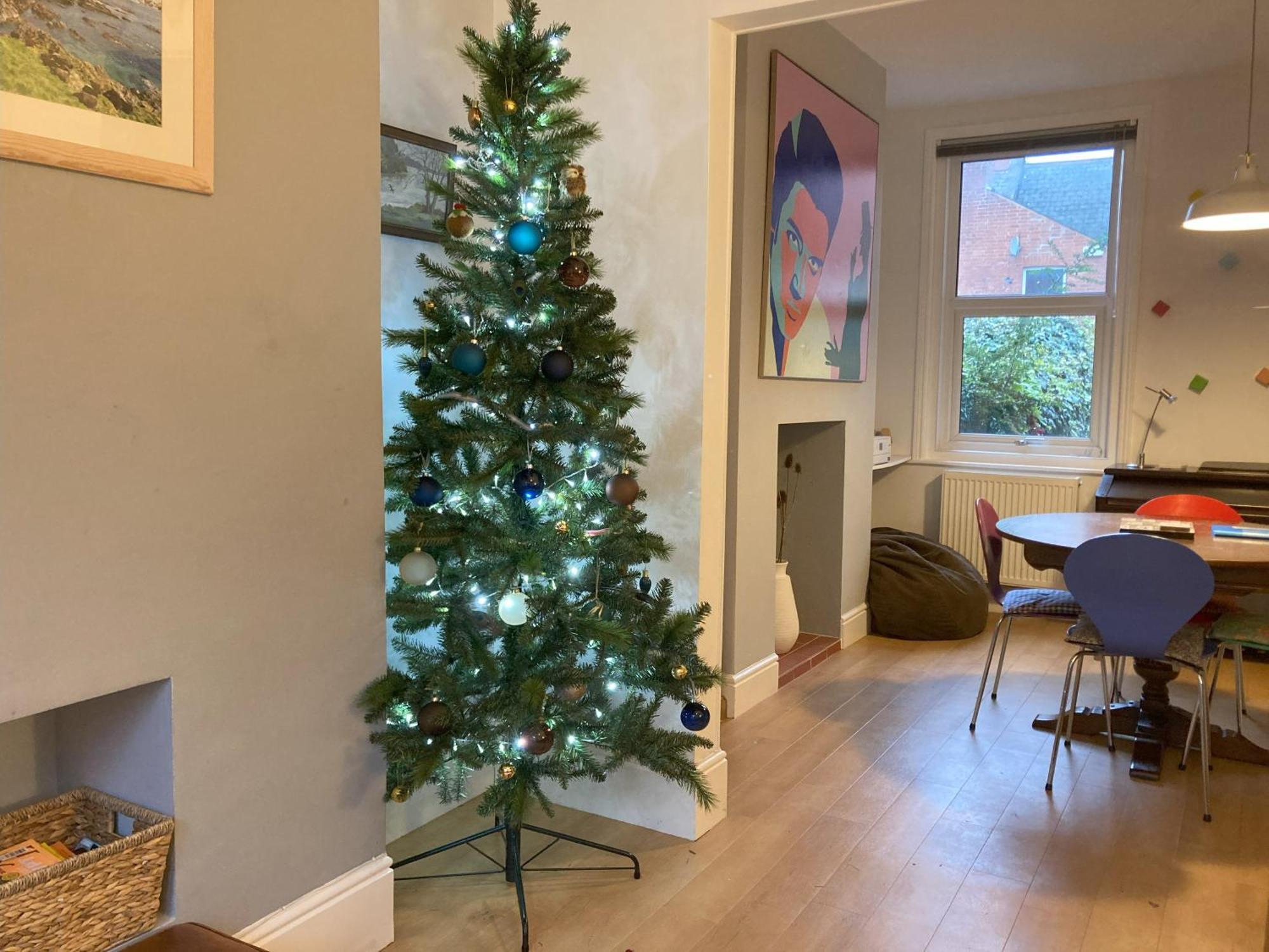 3 Bedroom Victorian House Close To City Centre Exeter Exteriör bild